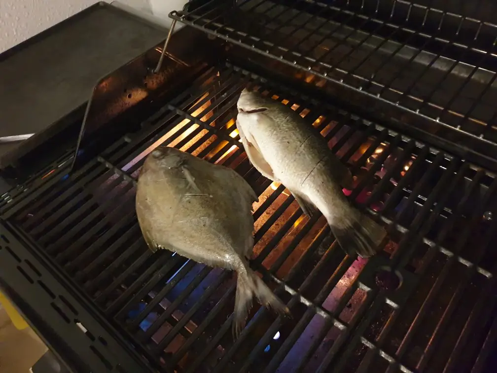 Poisson grillé aux herbes